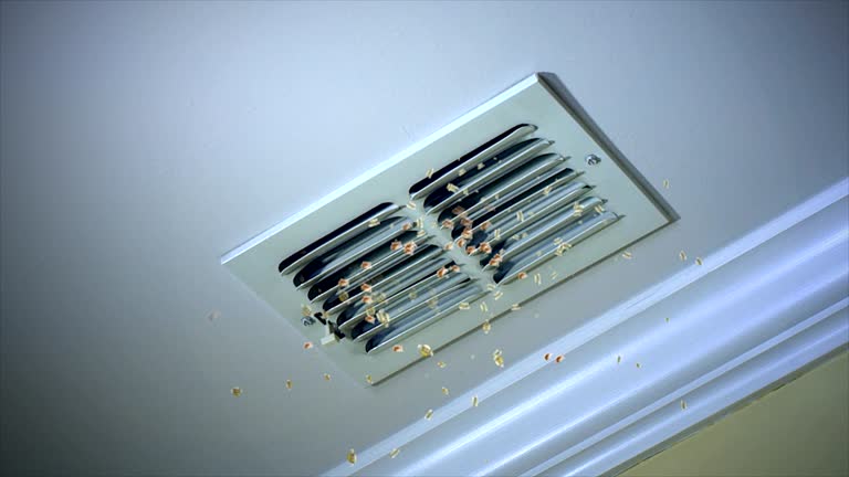 Best Best Air Duct Cleaning Company  in Bradley, IL