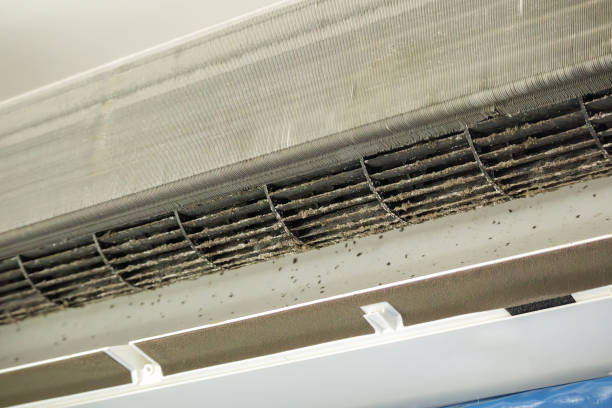 Best Commercial HVAC Duct Cleaning  in Bradley, IL